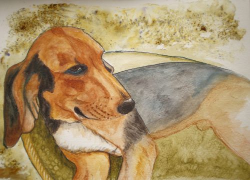 Theo Harehound watercolour