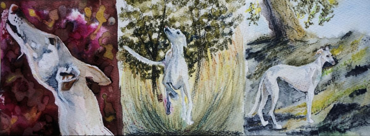 My hounds in watercolour form
